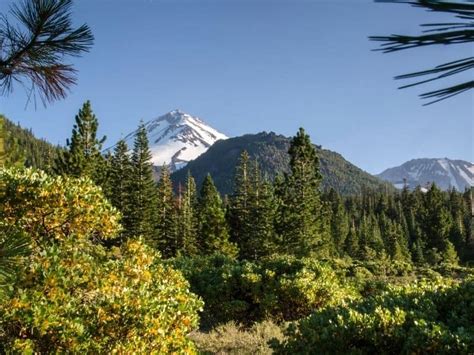 7 Best Hikes Near Mt Shasta: Hiking Trails For All Levels! - California ...