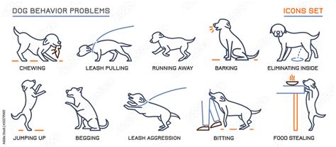 Dog Behavior Problems Icons Set Stock Vector | Adobe Stock