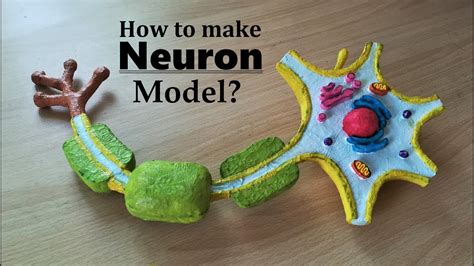 Neuron 3D Model Project