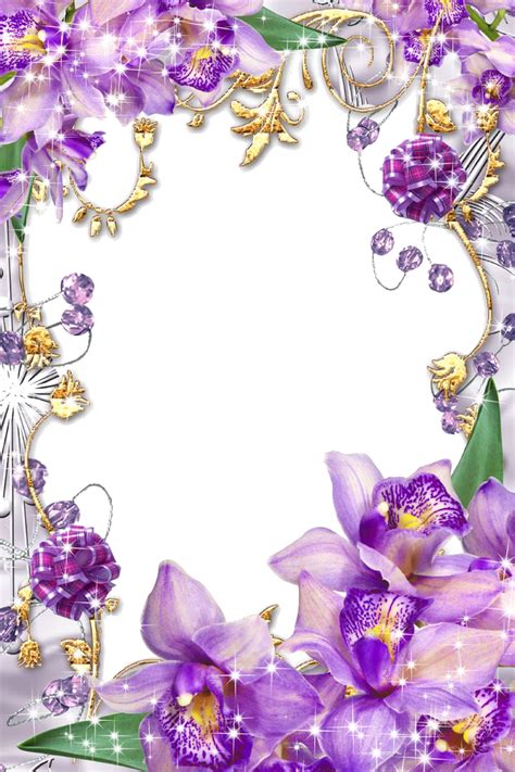 Purple Frame PNG Images Transparent Free Download | PNGMart.com