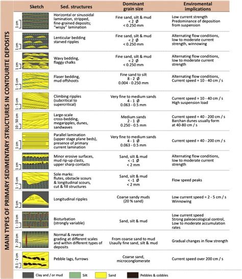 Main types of sedimentary structures in contourite deposits ...