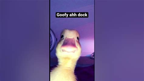Goofy ahh duck* - YouTube