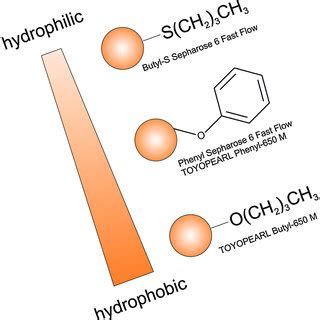 Scheme of HIC media used for experiments in this study; Ranked ...