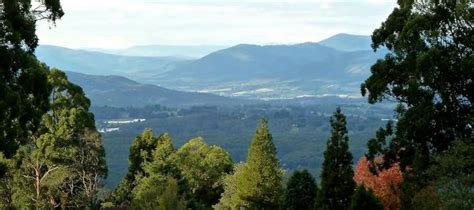 Viewpoints and Lookouts of the Dandenong Ranges