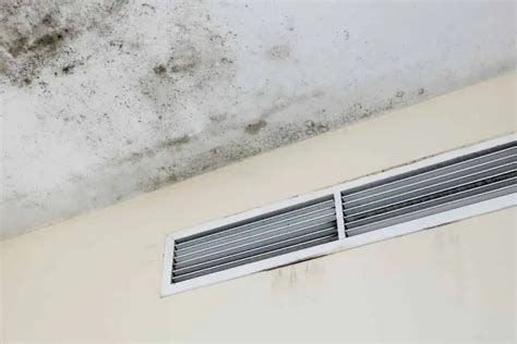 Signs of Black Mold In Air Vents (A/C Unit Symptoms?)