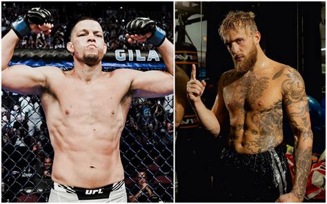 Nate Diaz vs. Jake Paul: "Not a chance" - UFC middleweight predicts ...