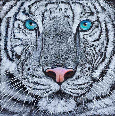 White tiger, coloured pencil by Sarahharas07 on DeviantArt