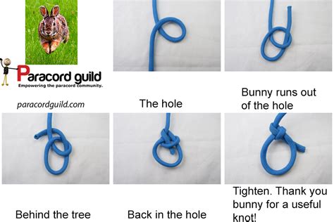 How To Tie A Bowline Knot Diagram