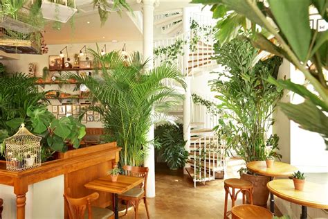 The best places to try CBD-infused food and drinks in London