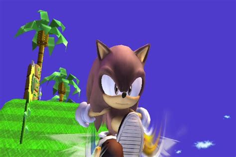 Image - Brown Sonic.jpg | SSBB Custom Content Wiki | FANDOM powered by Wikia