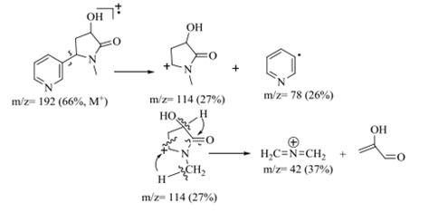 How does mass spectroscopy of nicotine work? - Chemistry Stack Exchange