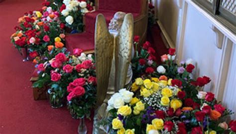 Roses and Rosaries for Our Lady: EWTN viewers fill chapel with shower of flowers... - Salvation ...