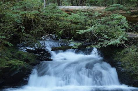 The Best Blue Mountains Walks | The Adventure Lab