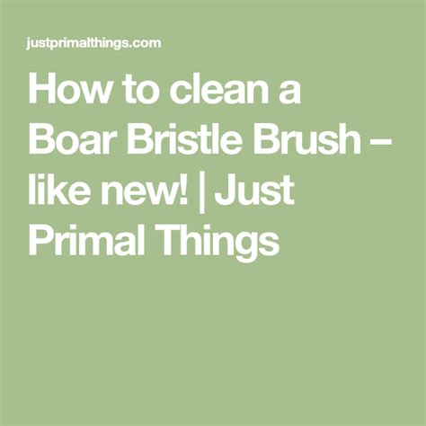 How to clean a Boar Bristle Brush – like new! | Just Primal Things ...