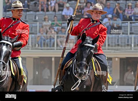 Canadian mounted police horse hi-res stock photography and images - Alamy