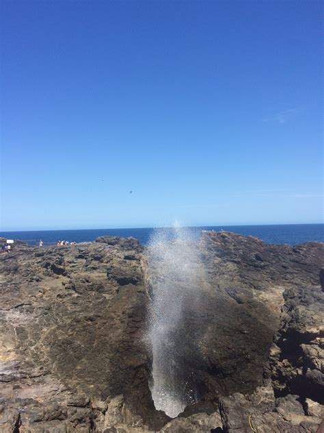 Kiama Blowhole Tours - Book Now | Expedia