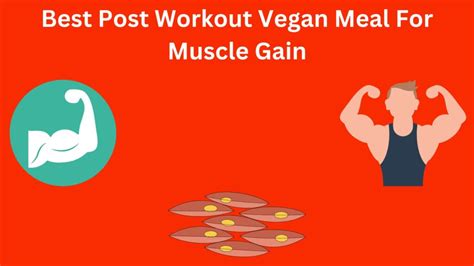 Best Vegan Meal For Muscle Gain Post Workout