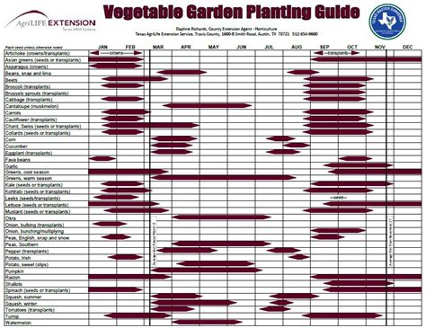 Vegetable Seeds Zone 9 - G4rden Plant