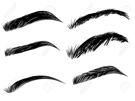 Collection of black detailed eyebrows on white background. Stock Vector ...