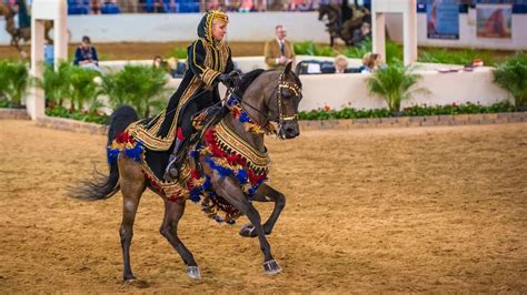 Scottsdale Arabian Horse Show | Native Costume Championship at Westworld - YouTube