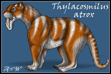 Thylacosmilus atrox by Leonca on DeviantArt