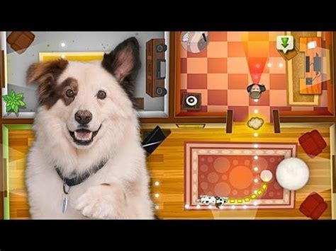 Dog With A Blog Games - PetsWall