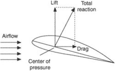 Center of pressure | Article about center of pressure by The Free ...