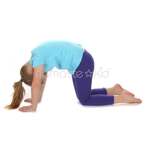 Cat Pose | Kids' Yoga Poses, Yoga for Classrooms - Namaste Kid