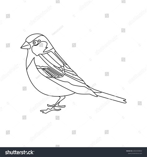 Sparrow Line Drawing Clip Art Stock Vector (Royalty Free) 2003340854 | Shutterstock