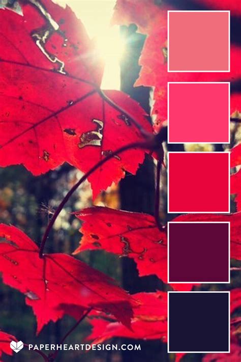 Color Palette: #MyColorPaletteMagic 002 — Paper Heart Design | Color palette design, Fall color ...