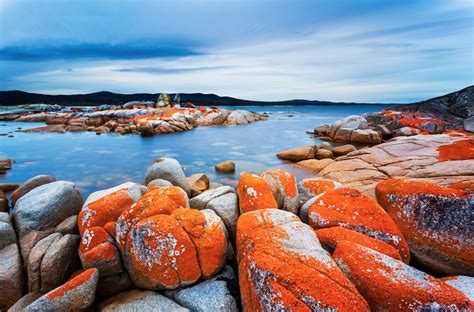 Bay of Fires - Australia's Physical Environments