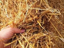 Straw Mulch, the Ultimate Winter Garden Blanket - Gardenista | Straw ...