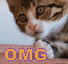 Omg Wow GIF – Omg Wow – discover and share GIFs