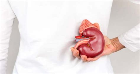 Если ваша почка находится в опасности, тело даст вам 6 знаков Kidney Failure Symptoms, Chronic ...