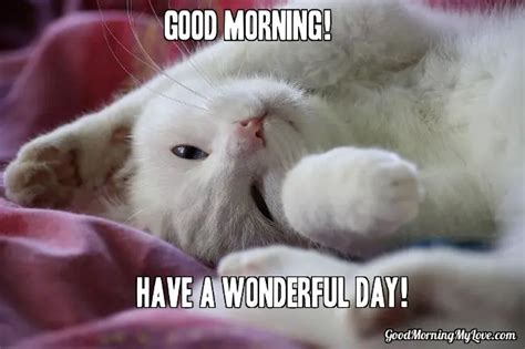 32 Good Morning Memes for Her, Him & Friends - Funny & Beautiful