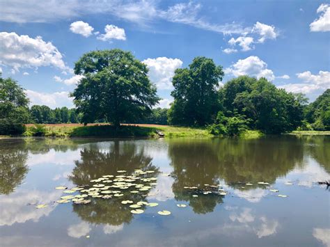 William Lee Golden on Twitter: "Went By Our Alabama, Golden Family Farm ...