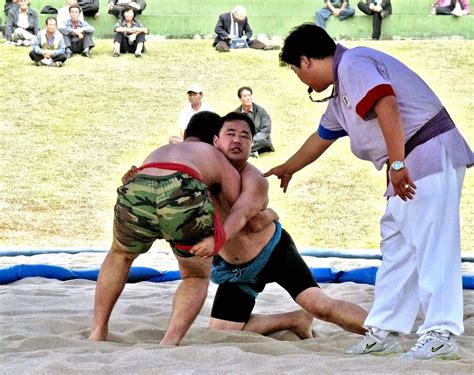 ASOCIACIÓN CULTURAL HWARANG: CULTURA - SSIREUM, LA LUCHA TRADICIONAL COREANA