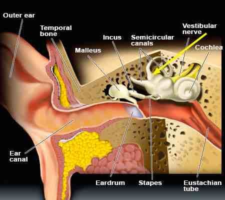 Chiropractic can help your dizziness and vertigo