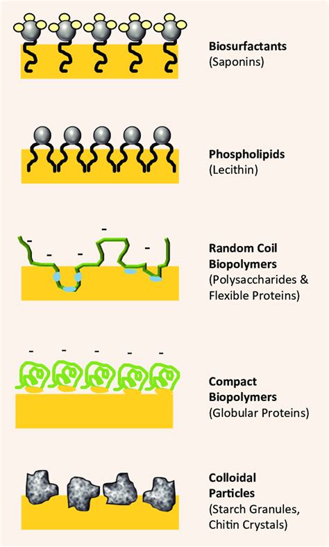 Examples of natural emulsifiers. Reprinted from Adv. Colloid Interface... | Download Scientific ...