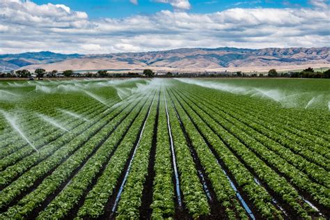 Irrigation Efficiency - Definition, Types, Importance & Formula