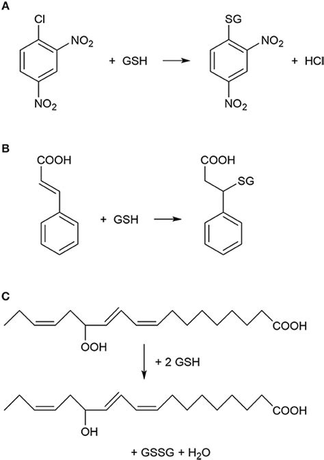 Frontiers | Glutathione S-Transferase Enzymes in Plant-Pathogen ...