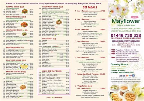 Menu at Mayflower Chinese Takeaway fast food, Barry