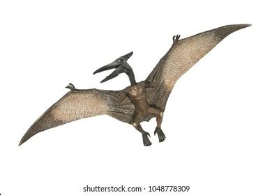 12,282 Pterodactyl Images, Stock Photos, 3D objects, & Vectors | Shutterstock