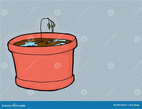 Over-Watered Seedling on Gray Stock Illustration - Illustration of watered, single: 56510524