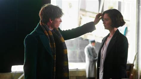 Fantastic Beasts Behind the Scenes - Blog - The Film Experience