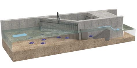 Towards more fish-friendly hydropower plants | ETH Zurich