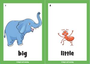 Big, Big, Big Song Flashcards | Maple Leaf Learning Library