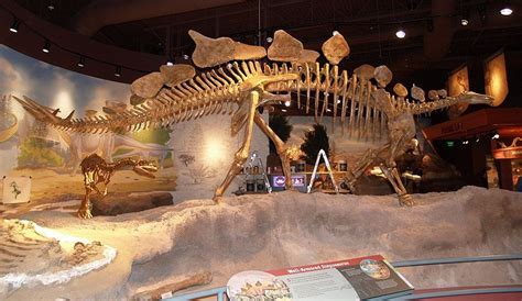 UTAH FIELD HOUSE DINOSAUR MUSEUM in Vernal | Fun places for kids ...