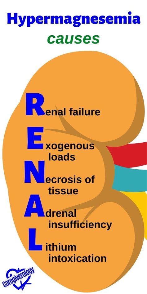 Many Medical Mnemonics for Memorization - Caregiverology | Medical ...