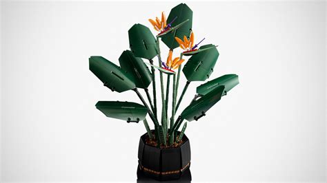 LEGO 10289 Bird of Paradise Joins Decorative LEGO Botanical Collection